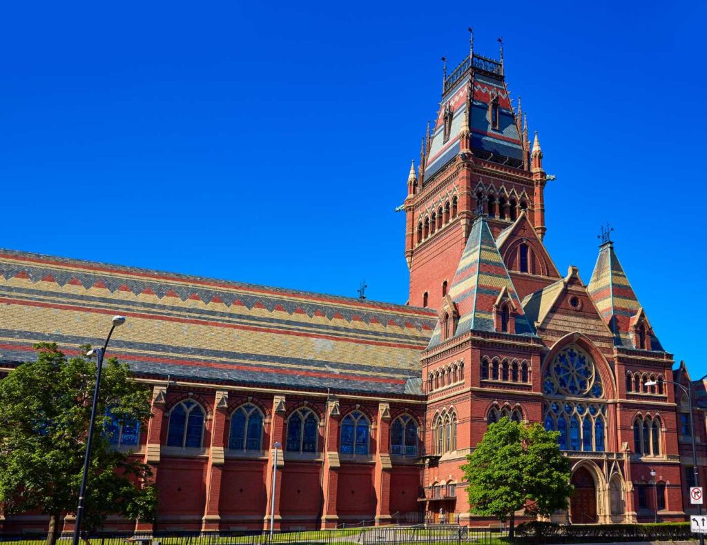 Elit university image